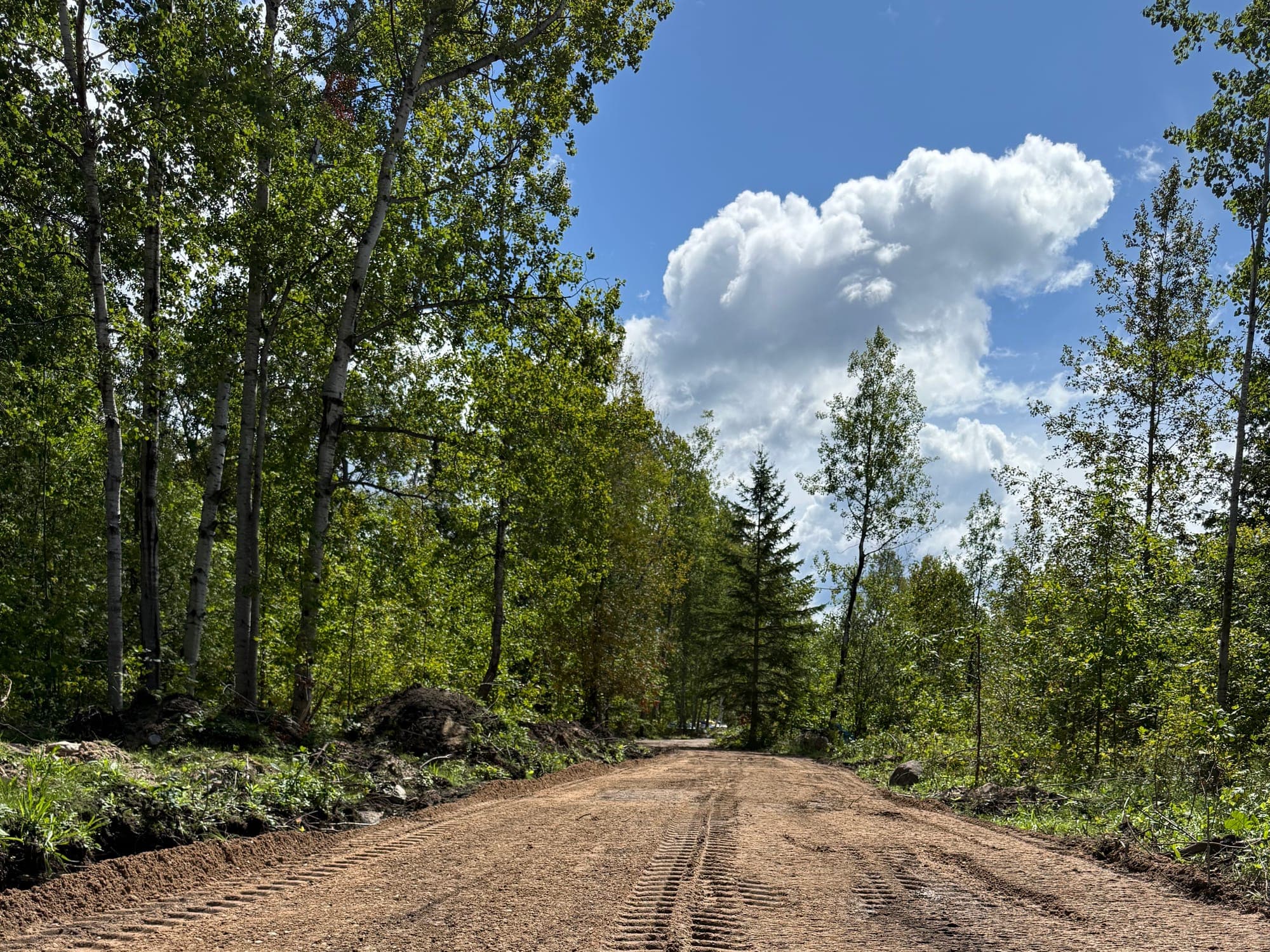 Freshly graded driveway base through a wooded property