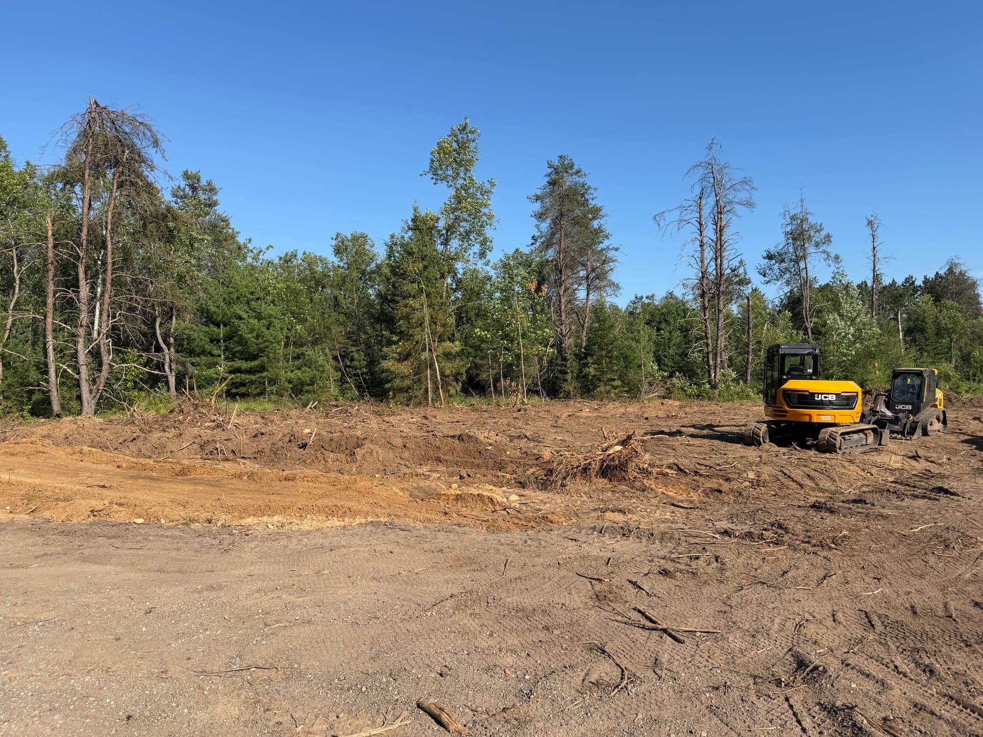 Compact equipment working through a wooded clearing project