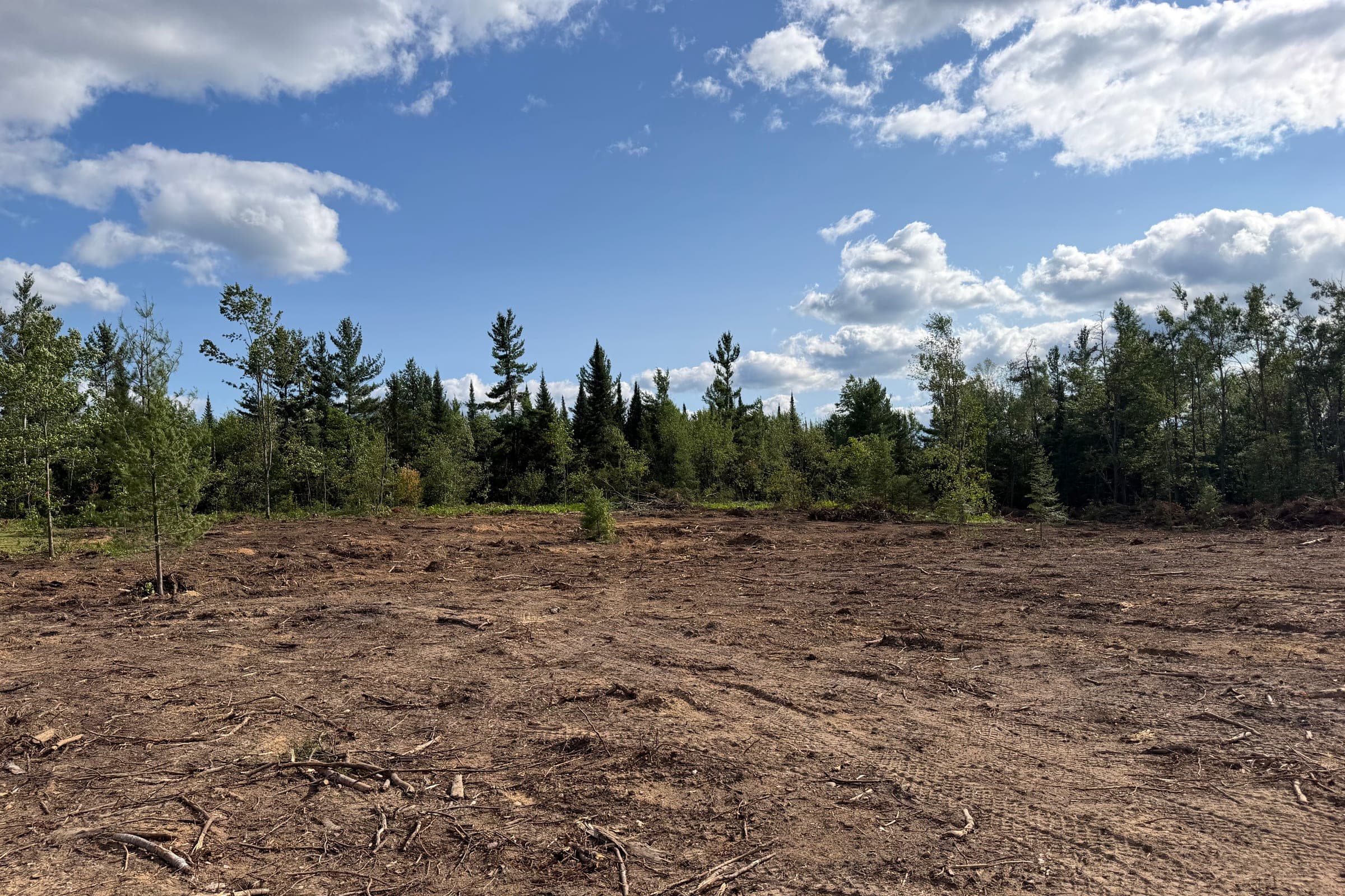 Freshly cleared northern Michigan acreage ready for its next use