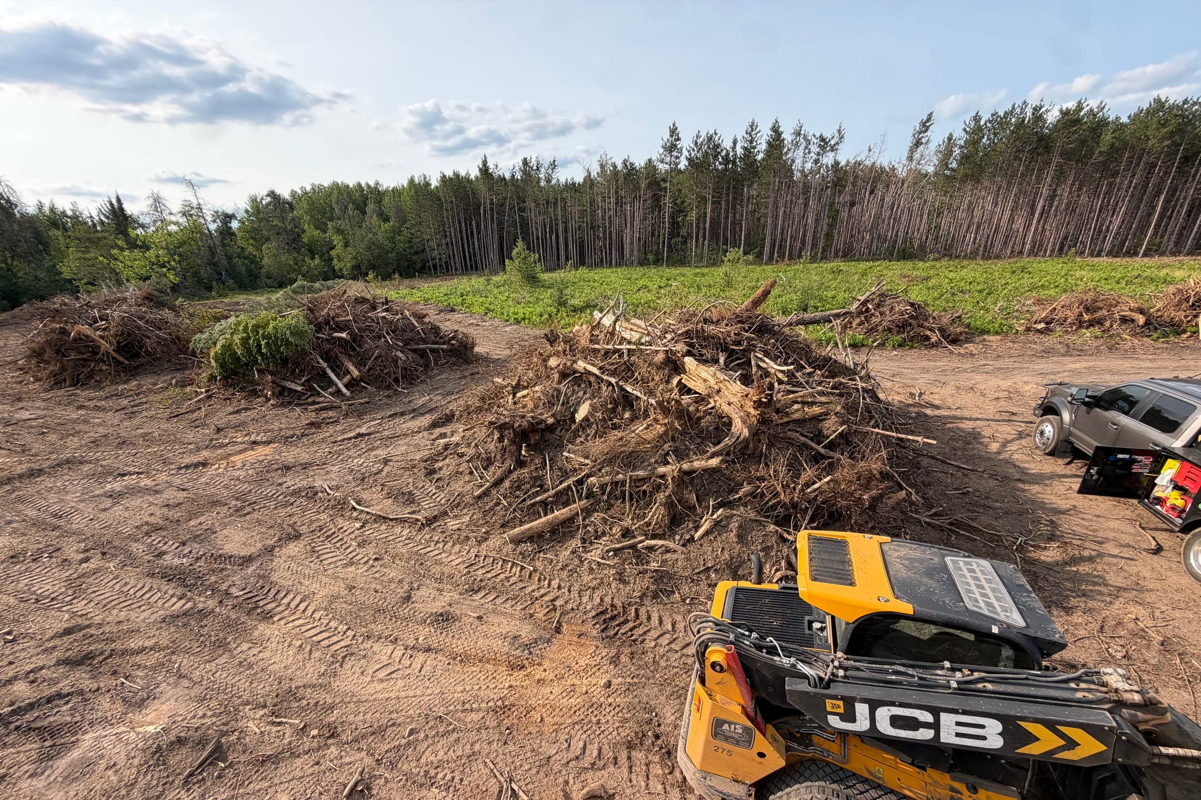 Cleared roots and stump debris gathered beside earthmoving equipment