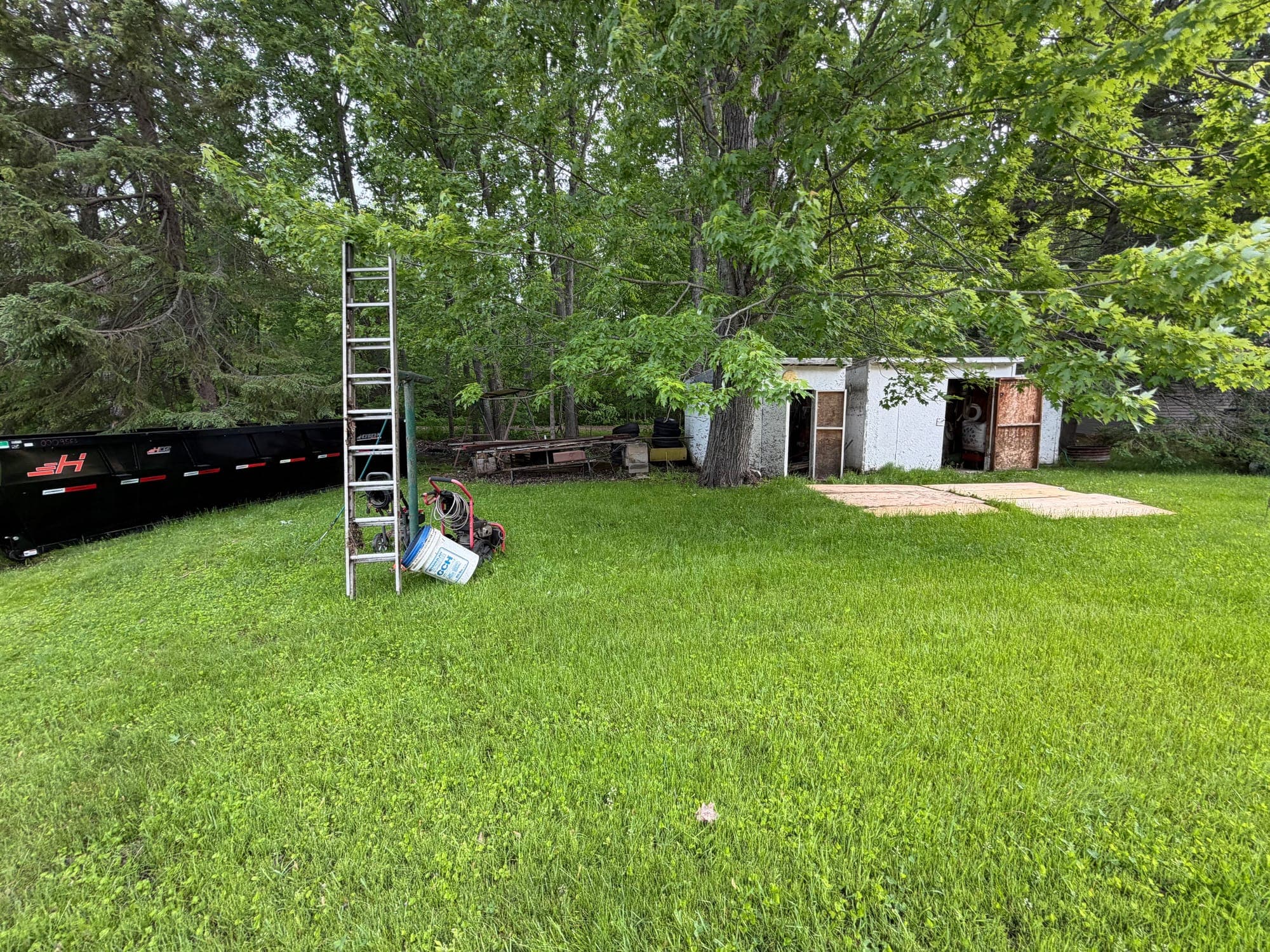 Overgrown residential property before vegetation management