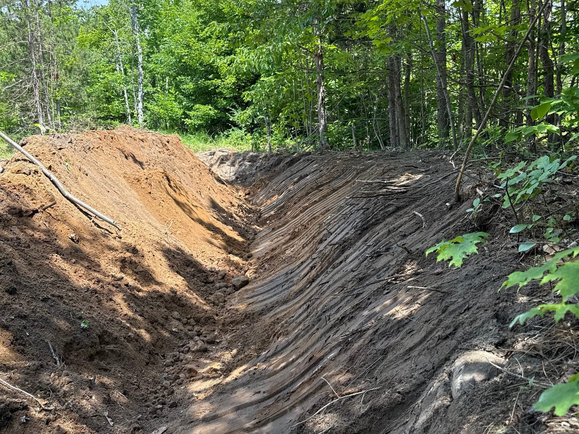Long drainage ditch cut through a wooded property