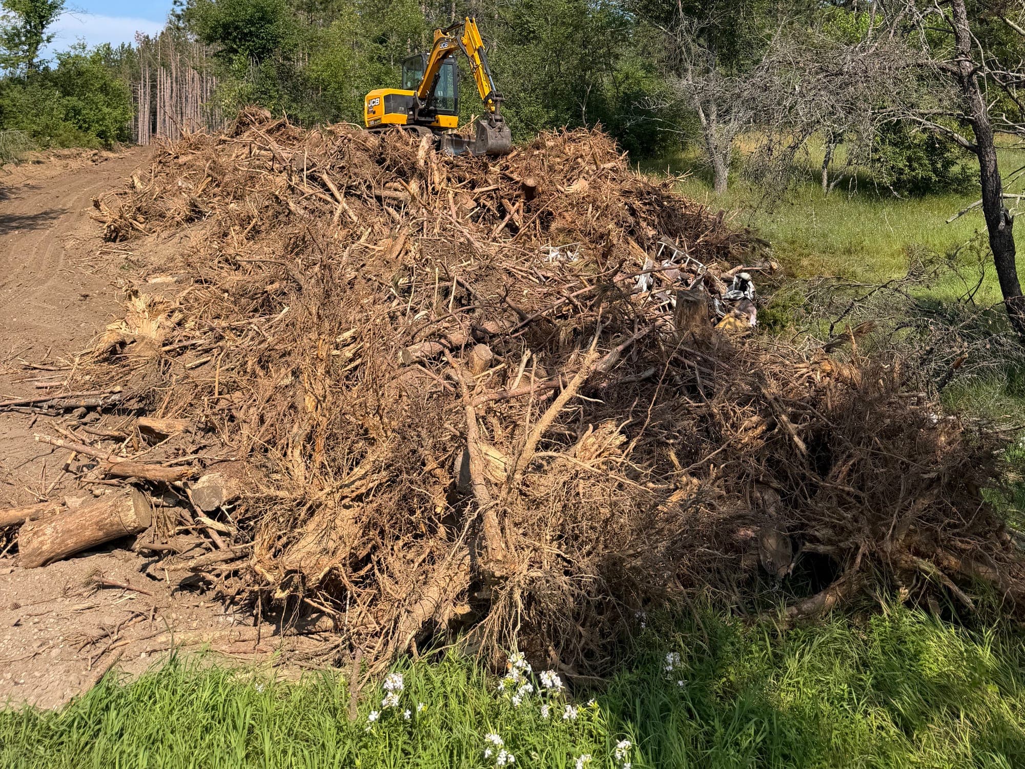 Excavator actively consolidating branches, roots, and storm debris